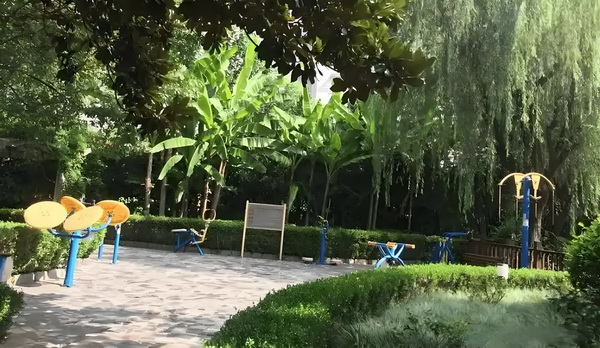 入户深圳加分条件_央视发文力挺，这一次杨幂让前夫刘恺威望尘莫及 考察市民实地欢迎预约